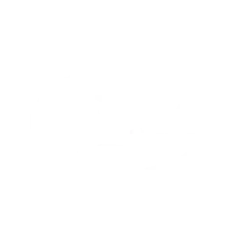 FEVITA logo_500x500_WHT