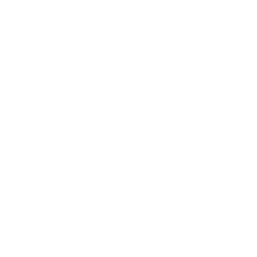 Lang-LKQ-logo-500x500_WHT