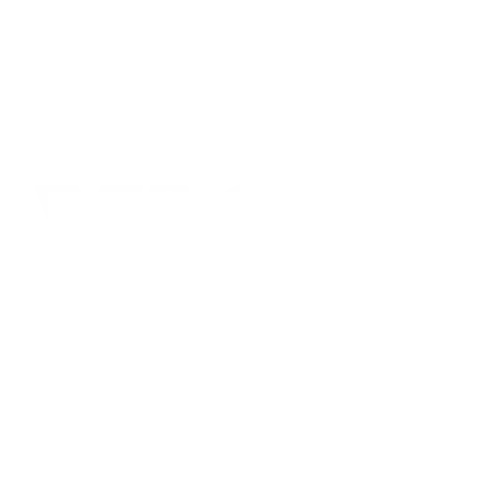 Vinyl_logo_500x500_WHT