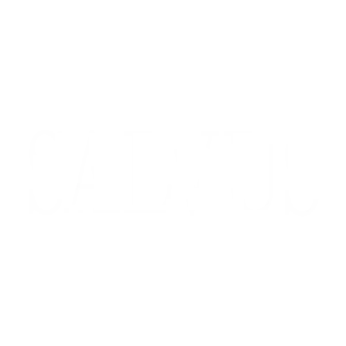 salvus_website_logo_500x500_WHT